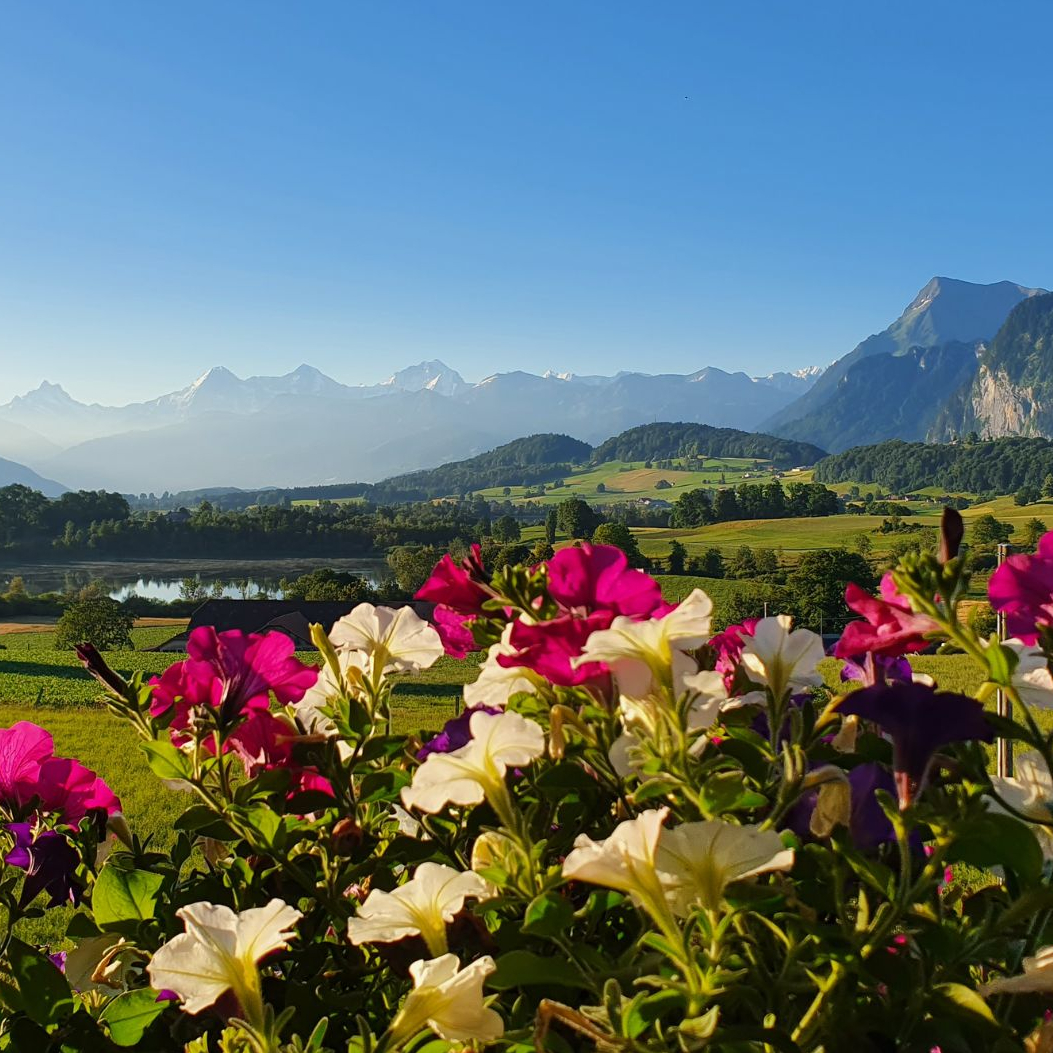 Aussicht-Oasenhof.jpg